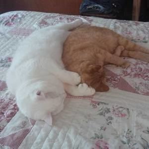 Meet your Posher, Cindy